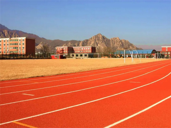 固原市硅PU材料学校塑胶跑道 - 厂家